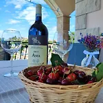 Aurelia